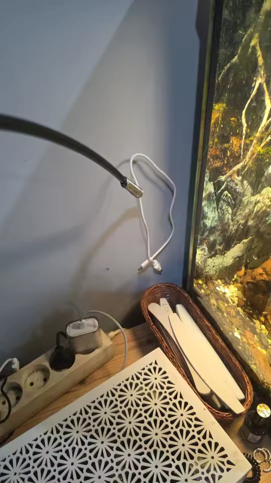 Foto de Rafael Toj