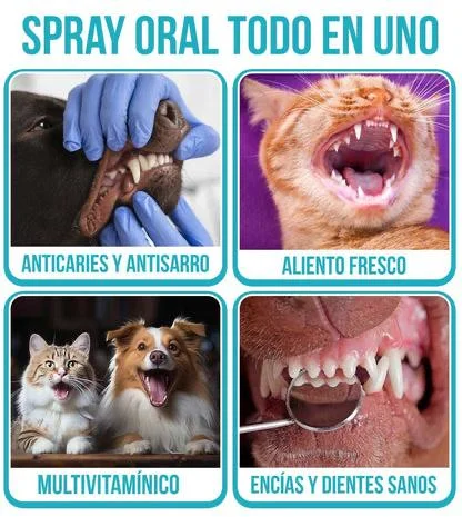 PROMOCIÓN ESPECIAL SOLO POR ESTA SEMANA 2X1 OralPet® Spray Oral Limpiador para Perros y Gatos🐱🐶