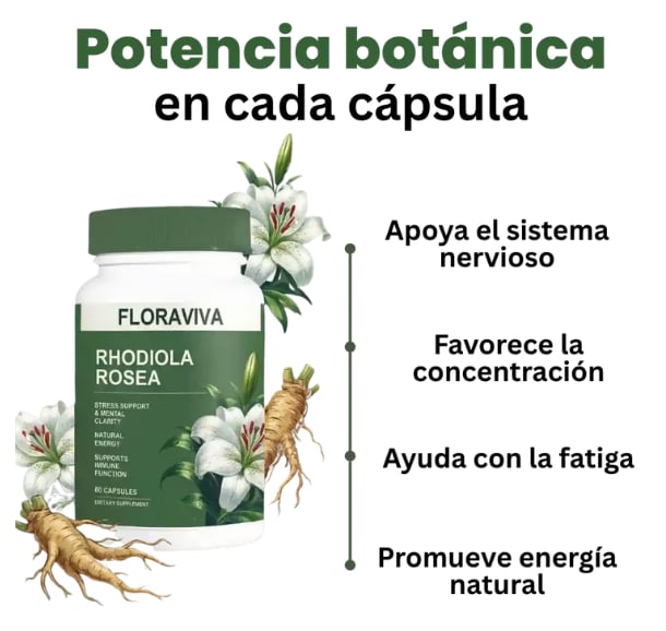 🧠 Rhodiola Premium – Más Enfoque, Energía Mental y Equilibrio Cada Día