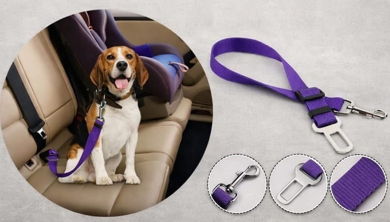 PawSafe* Cinturón de seguridad para perros//ENVIO GRATIS🔥