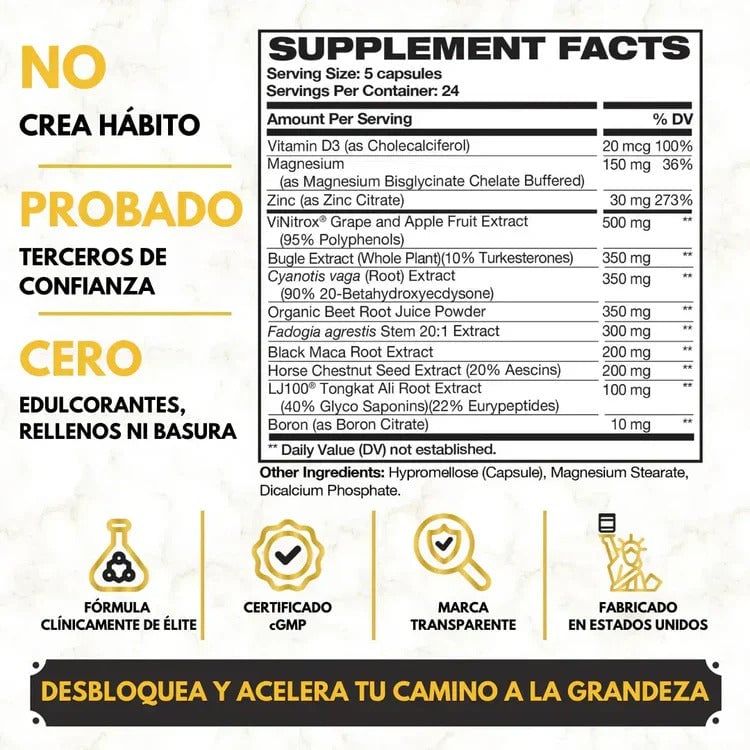 💪🔥 King Maker™ – Suplemento con Tongkat Ali, Turkesterona, Ecdisterona, Fadogia Agrestis, betarraga roja, maca negra y zinc (13 en 1) 👑⚡️