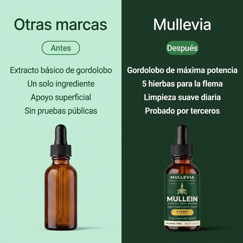 Mullevia frente a otras marcas