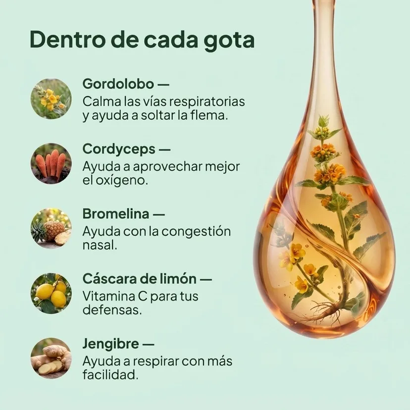 Dentro de cada gota