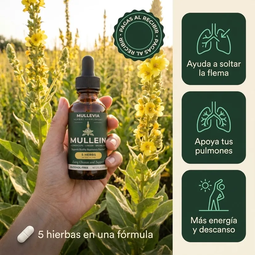 Ayuda a soltar la flema